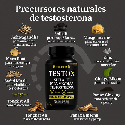 TestoX® Precursor De Testosterona 10-1